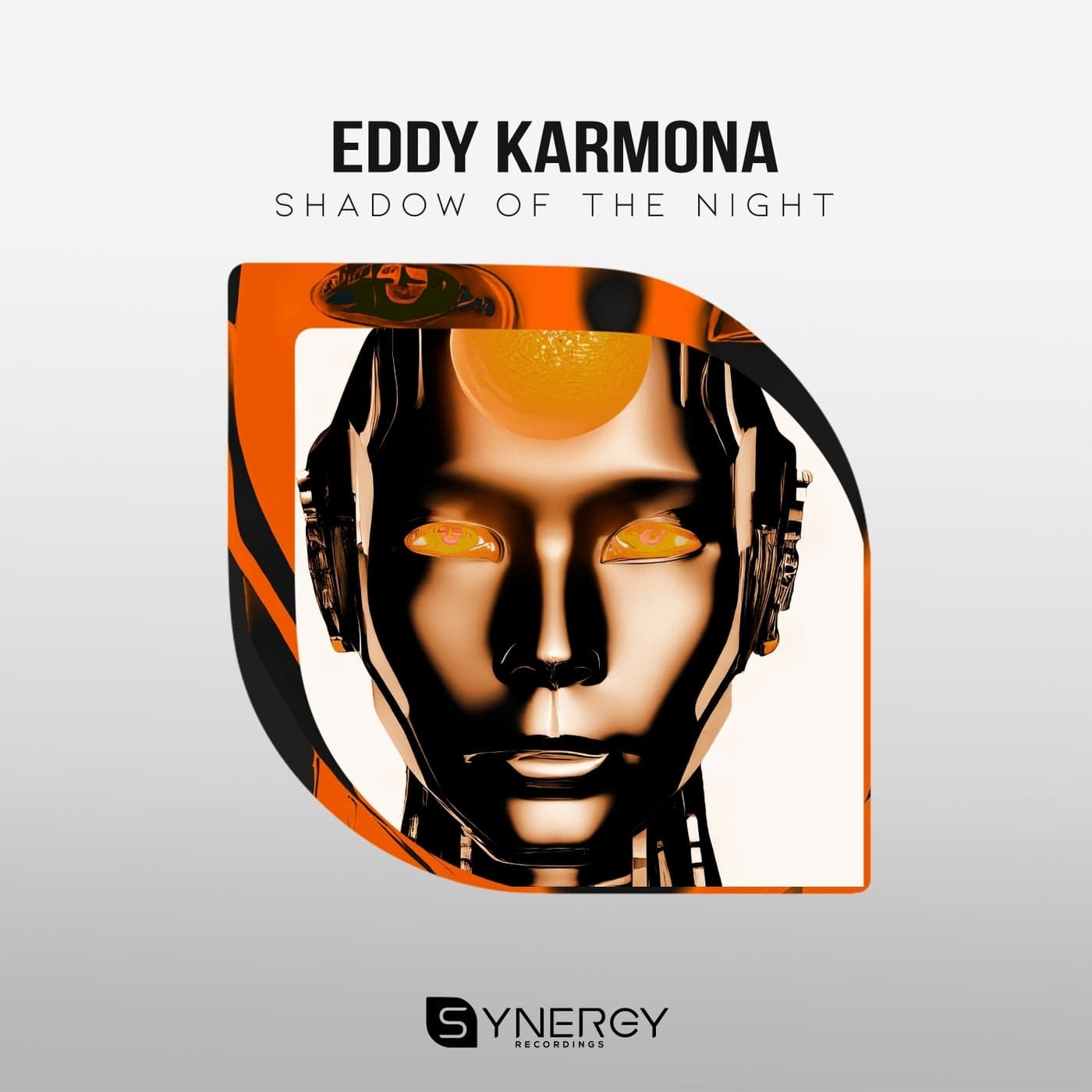 Shadow Of The Night artwork